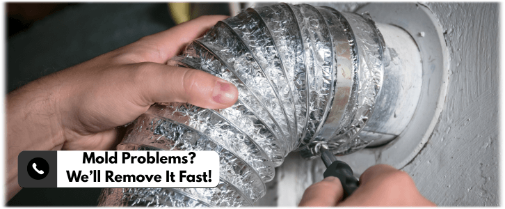 Air Duct Mold Removal in Allen