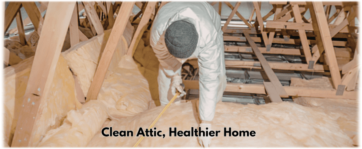 Attic Cleaning Allen