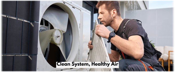 HVAC Mold Removal Allen